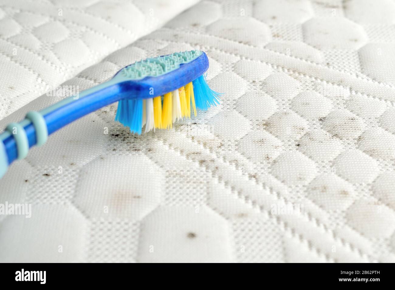 Removing fungus stains from the mattress`s surface with a brush. Stock Photo